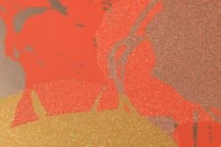 Tapete Andy Warhol - Flowers Lachsorange 5 Tapete Andy Warhol - Flowers Lachsorange -ferm LIVING Verkäufe 320221 1 Andy Warhol Flowers 2880x1440