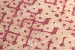 Tapete Dakini Bordeaux -ferm LIVING Verkäufe 325111 B Dakini 2880x1440