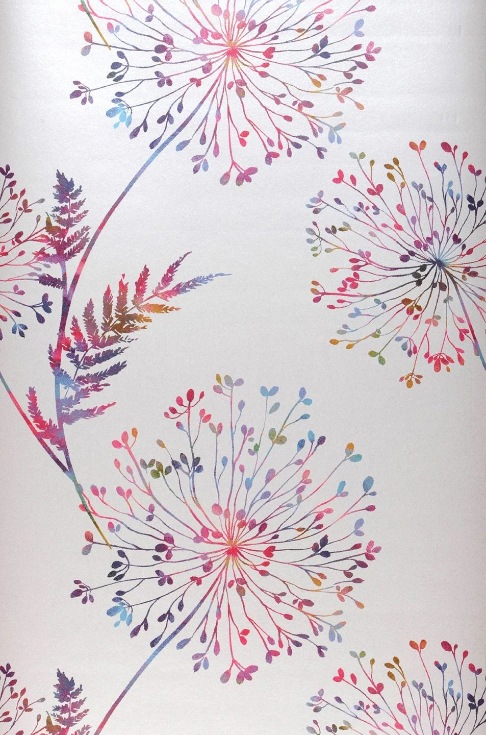 Tapete Sophia Weiss 1 Tapete Sophia Weiss