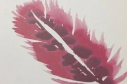 Tapete Ferty Bordeauxviolett -ferm LIVING Verkäufe 461622 B Ferty 2880x1440