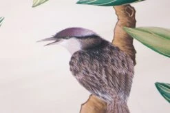 Tapete Fortuna Cremeweiss 6 Tapete Fortuna Cremeweiss -ferm LIVING Verkäufe 463082 B Fortuna 2880x1440