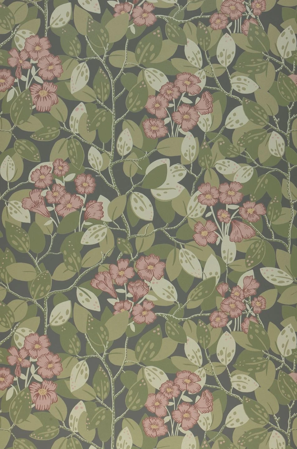 Tapete Hedera Grüngrau 2 Tapete Hedera Grüngrau – Bild 2