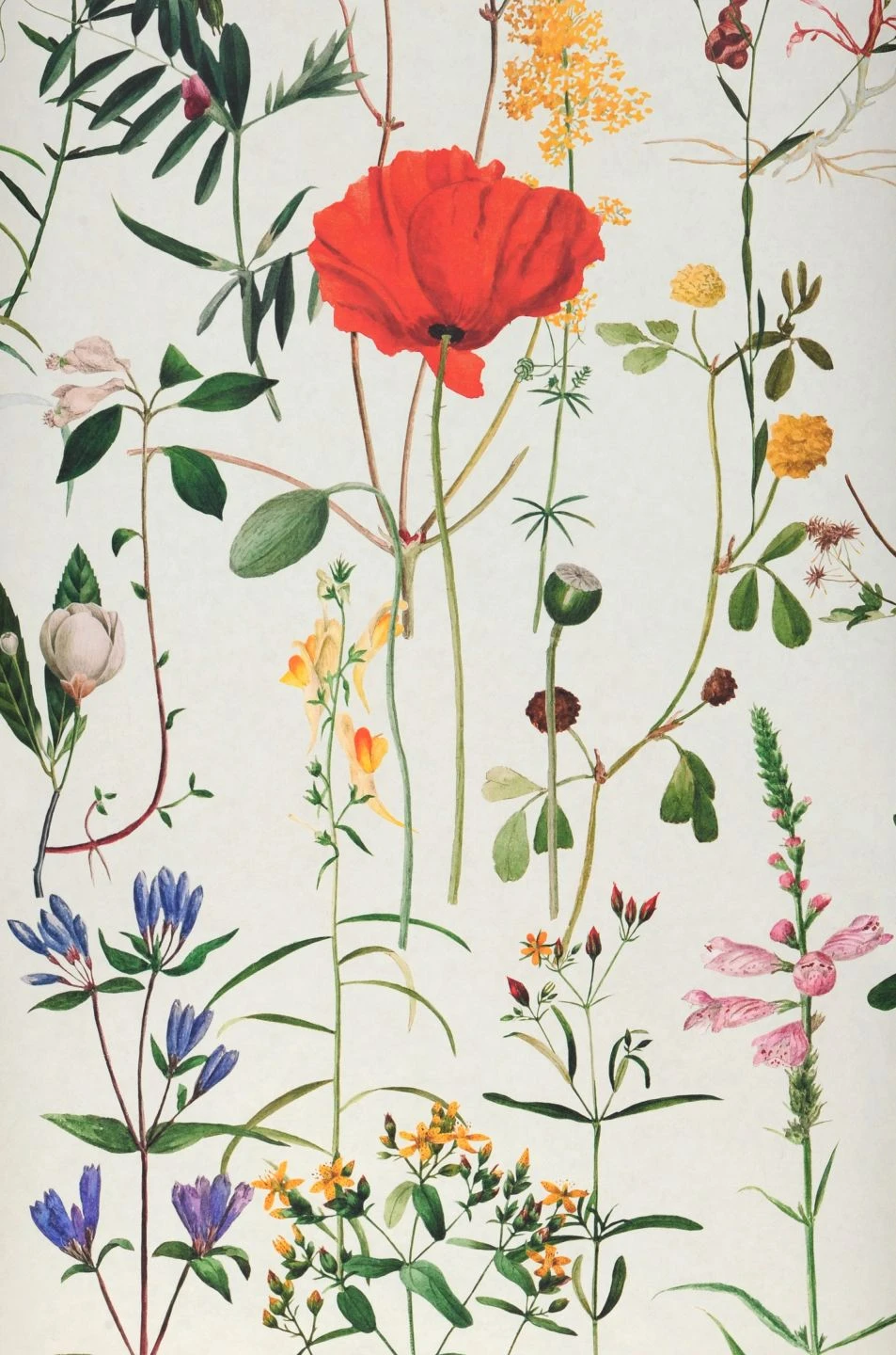 Wandbild Aquafleur Bunt 2 Wandbild Aquafleur Bunt – Bild 2