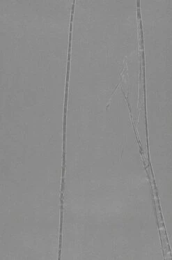 Tapete Big Crush 03 Grau 5 Tapete Big Crush 03 Grau -ferm LIVING Verkäufe 863223 B Big Crush 03 2880x1440