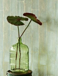 Tapete Atoras Pastellgrün -ferm LIVING Verkäufe Atoras A 821433 2880x1440