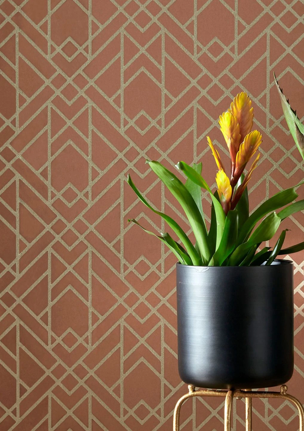 Tapete Baya Kupferbraun 1 Tapete Baya Kupferbraun