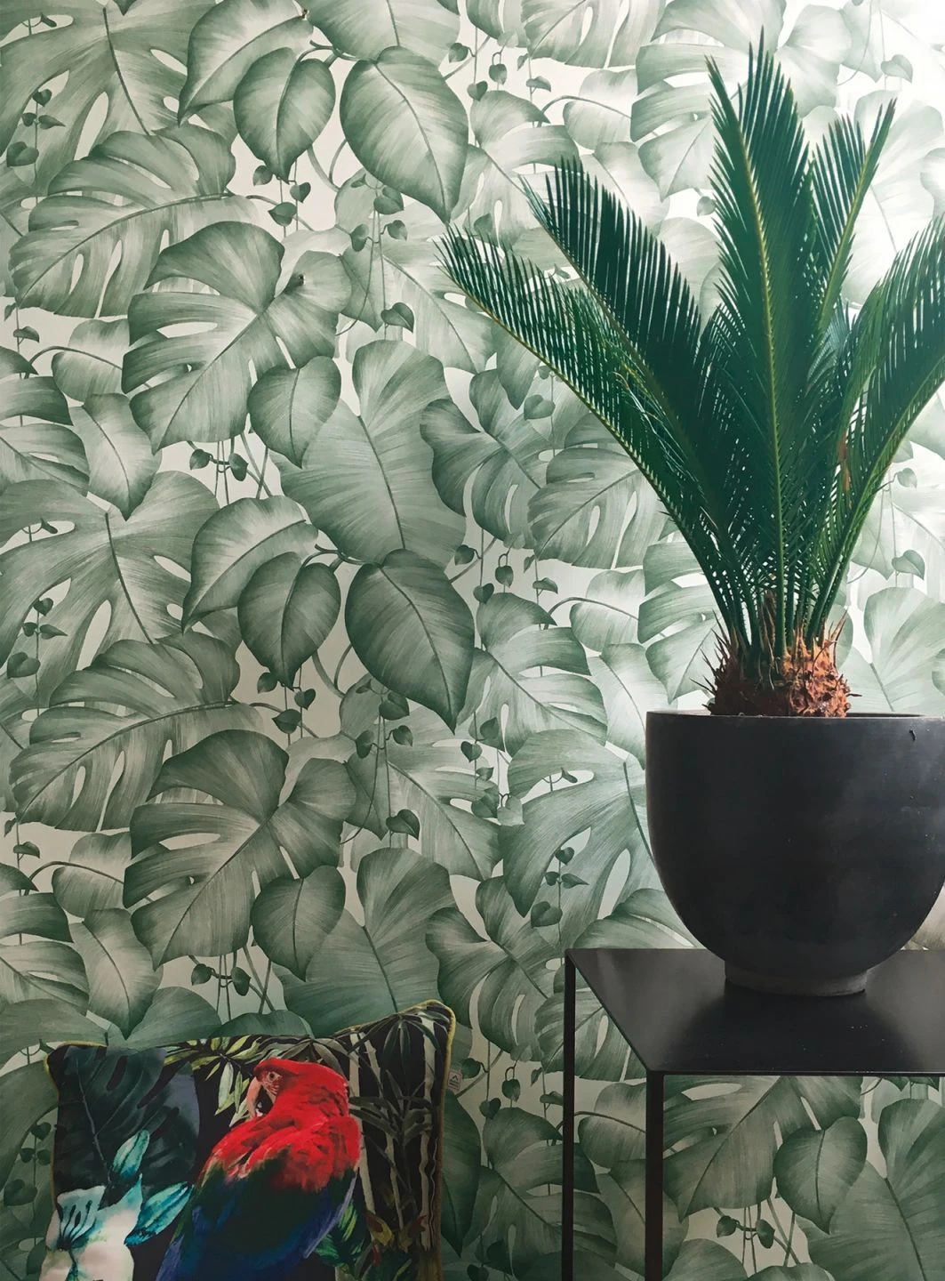 Tapete Gisah Moosgrün 4 Tapete Gisah Moosgrün – Bild 4