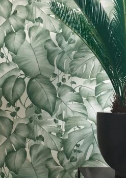 Tapete Gisah Moosgrün