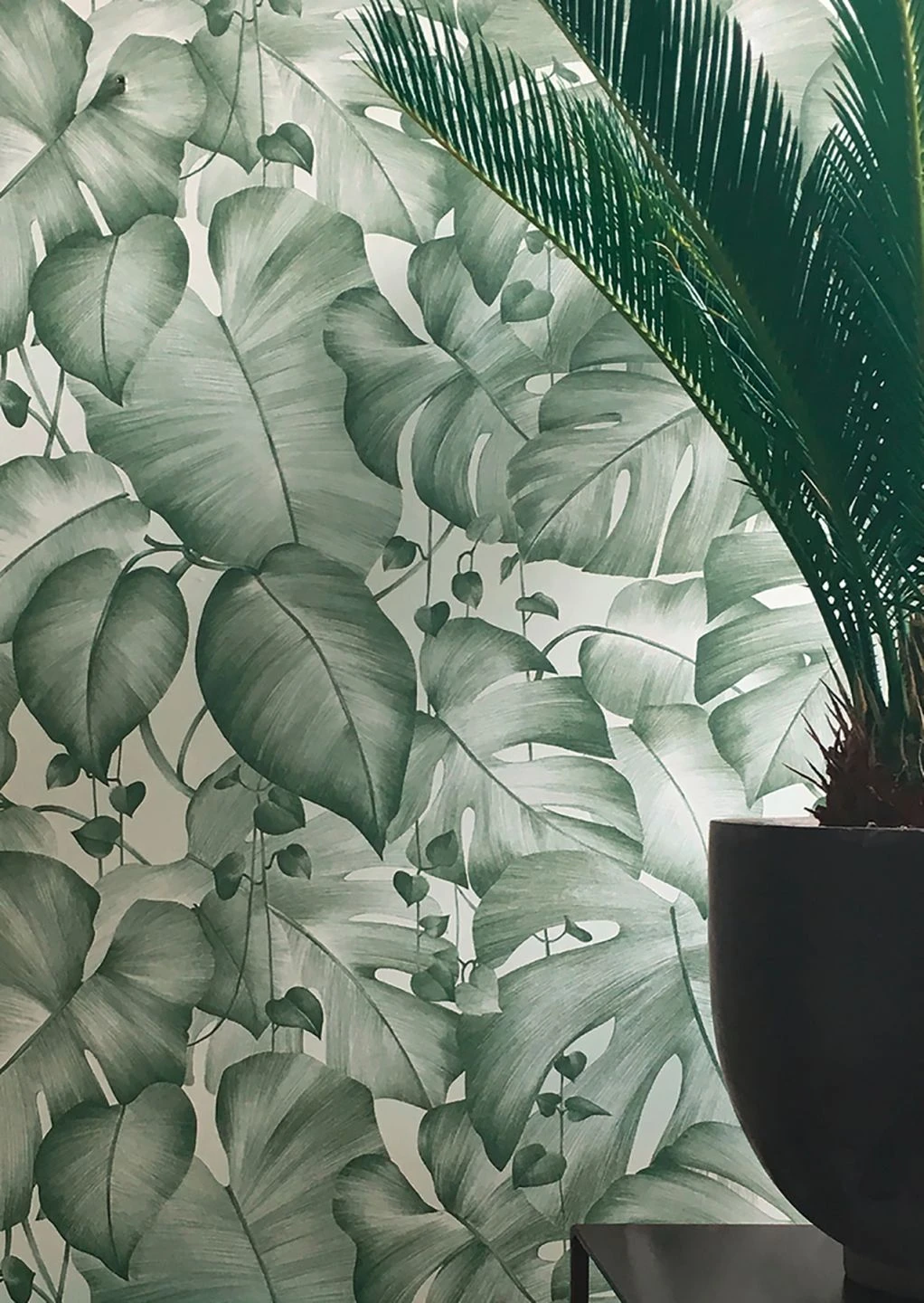 Tapete Gisah Moosgrün 1 Tapete Gisah Moosgrün