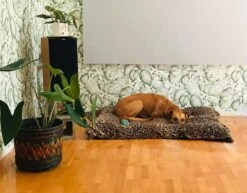 Tapete Gisah Moosgrün 9 Tapete Gisah Moosgrün -ferm LIVING Verkäufe Gisah M 410831 2880x1440