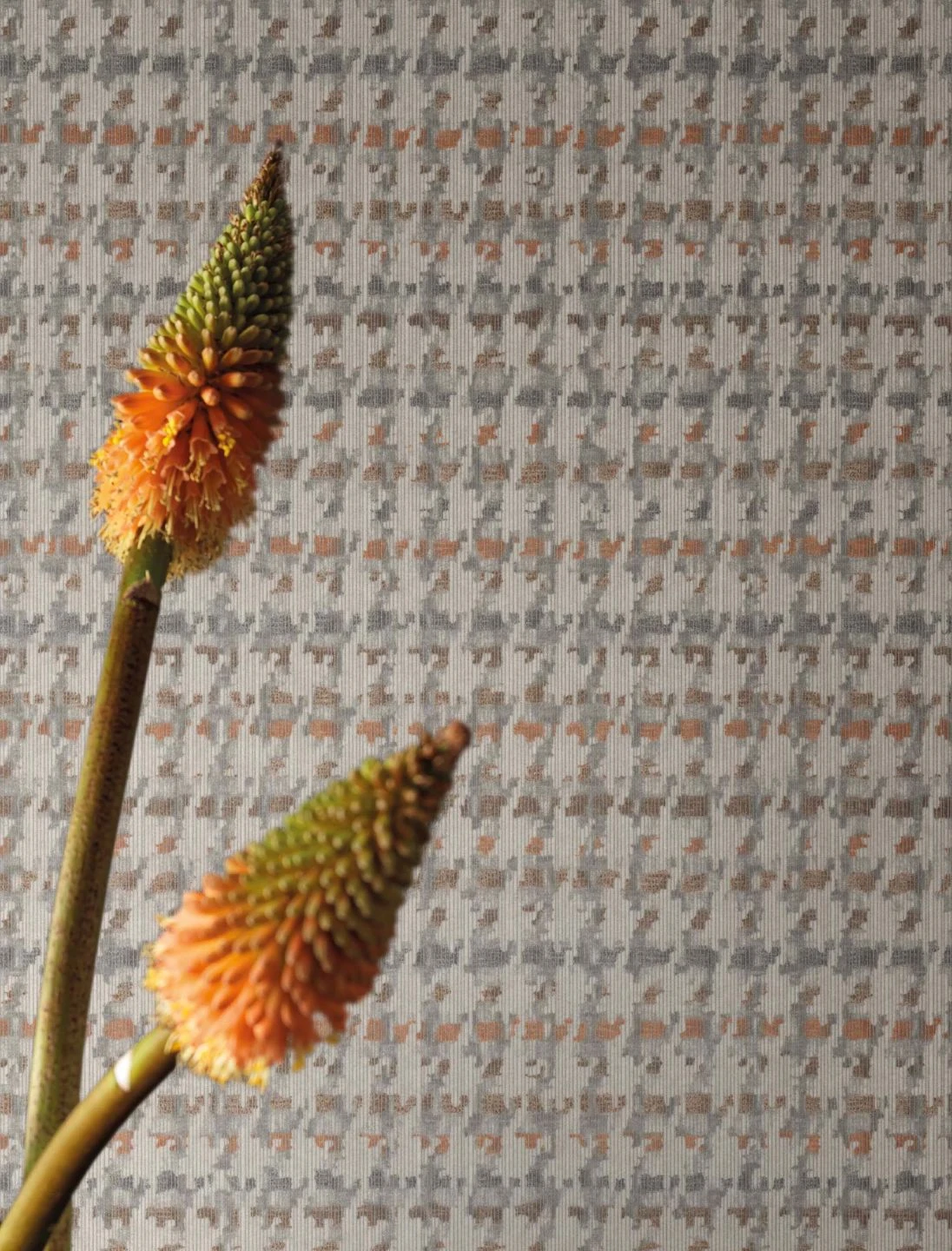 Tapete Pepita Style Orange