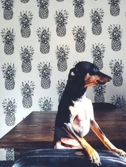 Tapete Pineapple Paradise Schwarzgrau -ferm LIVING Verkäufe Pineapple Paradise K 181211 2880x1440